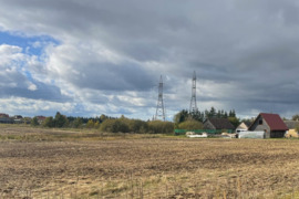 Parduodamas 1.6 ha žemės sklypas Andrijavos kaime , Šiaulių raj.