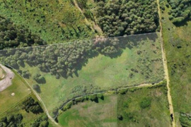 268 a sklypas Alytaus r. sav., Alovė