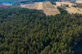 1360.0 a sklypas Anykščių r. sav., Mičionys