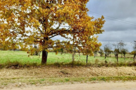 833.0 a sklypas Šiaulių r. sav., Raudėnai