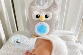WOOPIE BABY pliušinė pelėda - migdukas su projektoriumi ir lopšinėmis
