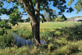  Šakių r. sav., Gerdžių k., medinė sodyba