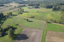  Šakių r. sav., Gerdžių k., medinė sodyba