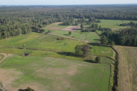  Šakių r. sav., Gerdžių k., medinė sodyba