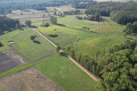  Šakių r. sav., Gerdžių k., medinė sodyba