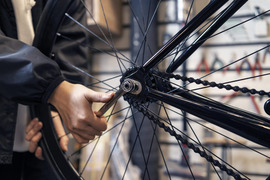 Surinkimo linijos darbuotojas(-a)