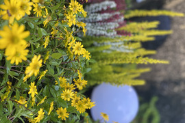 Kapaviečių,kapinių tvarkymas,priežiūra