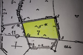 Parduodamas ž. ū. p. žemės sklypas 4 ha Švenčionių r.