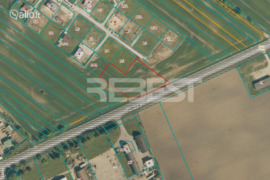 45 a sklypas Akmenės r. sav., Šapnagiai, Kaštonų g.