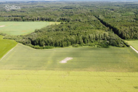 454.0 a sklypas Kėdainių r. sav.