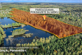 PARDUODAMA IŠSKIRTINĖ POILSIAVIETĖ SU STATINIAIS PRIE TVENKINIO – KAKŪNŲ K., PANEVĖŽIO RAJ.