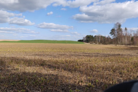 19ha tarp Palangos ir Kretingos, prie A11