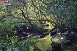 125.0 a sklypas Vilniaus r. sav., Bezdonys, Kalno g.