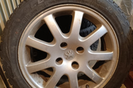 Leao, Žieminės padangos