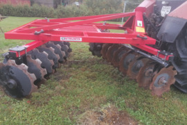 Strumik, Lėkštiniai skutikai