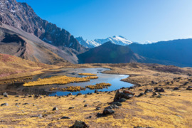 Psichologiniai pokalbiai ir konsultacijos (LT / RU)