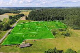 42.0 a sklypas Trakų r. sav., Vilkokšnis