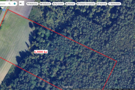 Parduodamas 4,3000 ha žemės sklypas Šiaulių raj. Giedrių k.