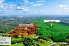 Parduodami du miško ūkio paskirties žemės sklypai Panevėžio r., Stumbriškio k.
