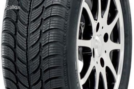 Debica FRIGO 2 195/65R15 91T, Žieminės padangos