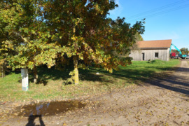 Namas Alytaus r. sav., Eigirdonys, Trakų g.