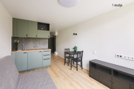 PARDUODAMAS INVESTICINIS OBJEKTAS. TRYS ATSKIRI 1 KAMBARIO STUDIJOS TIPO BUTAI.