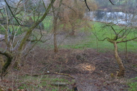 Unikalus sklypas ant Nevėžio upės kranto