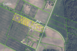 20.6 a sklypas Šiaulių r. sav., Meškiškė, Saulėtekio g.