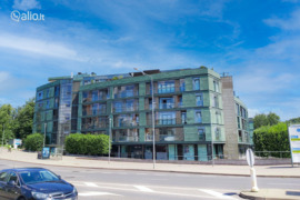 4 kamb. butas Vilnius, Žirmūnai (Žirmūnų sen.), Olimpiečių g.