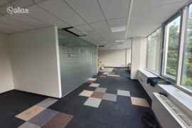 Patalpos Vilnius, Žirmūnai (Žirmūnų sen.), Žirmūnų g.