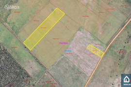 250.0 a sklypas Vilniaus r. sav., Merešlėnai