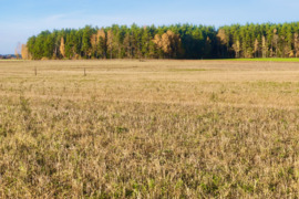 50 a sklypas Vilniaus r. sav., Tarnėnai