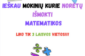 Matematikos korepetitorius vilnius