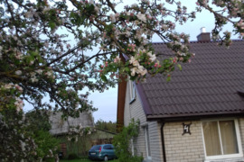 Sodyba Plungės r. sav., Papieviai, Liepgirių g.