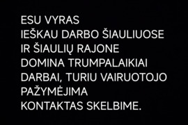 29M VYRAS IEŠKO DARBO