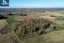 824.0 a sklypas Rokiškio r. sav., Pakriaunys