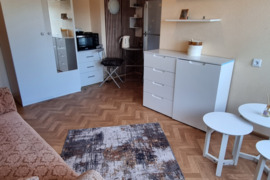 1 kamb. nuoma Vilnius, Žirmūnai (Žirmūnų sen.)