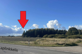 Parduodamas 3,89 ha žemės ūkio paskirties sklypas Vinkšnėnų kaime, Šiaulių rajone.