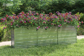 vidaXL Aukštas sodo lovelis, sidabrinis, 240x40x77cm, plienas