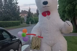 Didžiosios meškutės sveikinimai