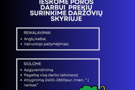 IEŠKOME POROS DARBUI OLANDIJOJE PREKIŲ SURINKIME DARŽOVIŲ SKYRIUJE