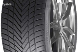 TRANSMATE Transeason 4S 215/65R16 98V, Universalios padangos