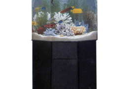 Apvalus akvariumas unikalaus kupolo, JAV, naujas