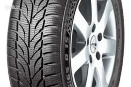 Dunlop WINTER 205/65R17 100H XL, Žieminės padangos