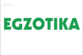 Kumho MT51 265/60R18 119Q, Vasarinės padangos