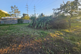 Gal kas pasiimtų į biokurą, atiduodu ir dar primoku 100 eurų.  Krūva apie 10×5m, Biruliškės, Kaunas