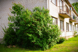 Butas  Kalvių km. Kaišiadorių raj. 3kamb.