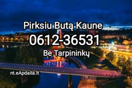 Pirksiu butą Kaune arba sodą šalia Kauno 0612-36531