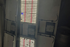 Augalų auginimo lempos.  pilno spektro LED infrared