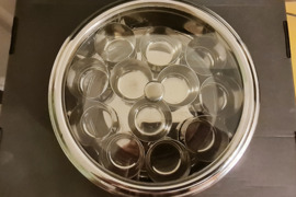 Prieskoniams laikyti dėžutė. Prieskoninė.